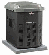 The Best Whole House Generator Reviews gris