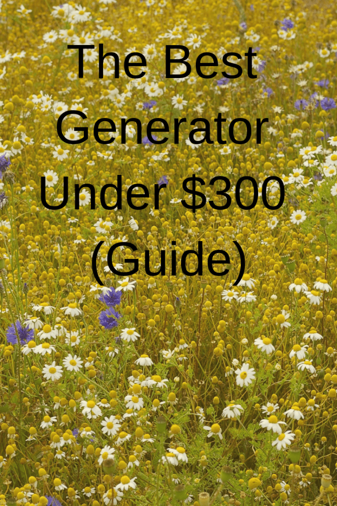 The Best Generator Under 300 (Guide) Generators Zone