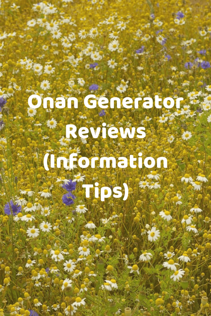 Onan Generator Reviews (Information Tips) Generators Zone