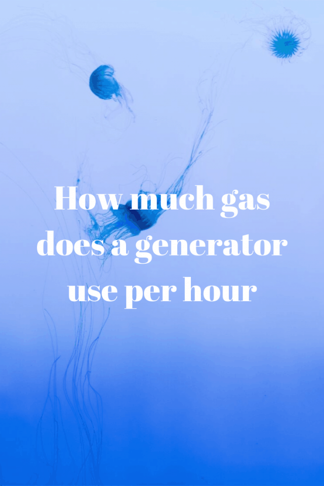How Much Gas Does a Generator use per Hour Generators Zone